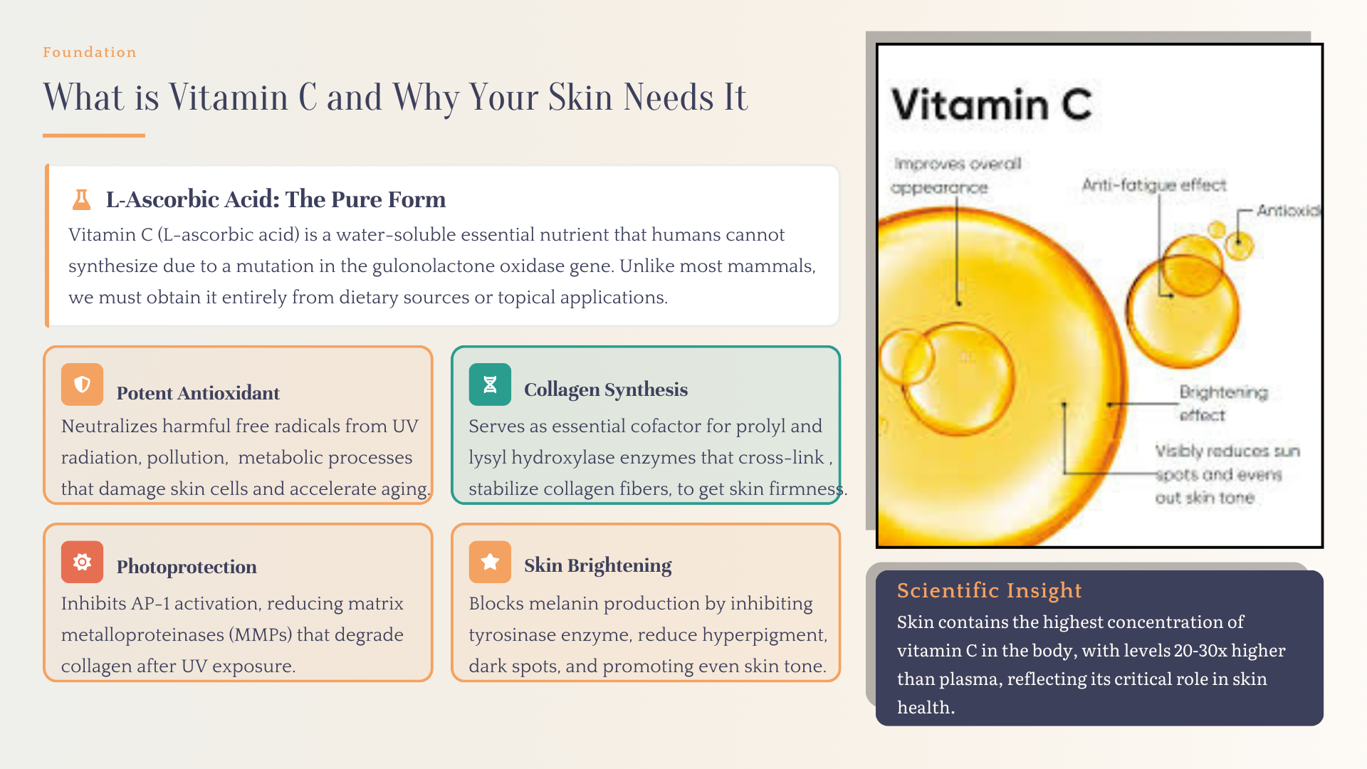 Aurelia Vitamin C Brand Launch Kit – Product Presentation + 4 Instagram Marketing Templates (Canva Editable)